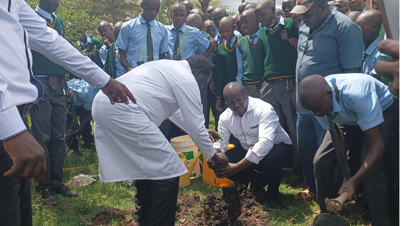 KCB officials and students planting trees under the KCB Linda Miti Initiative. PHOTO/COURTESY
